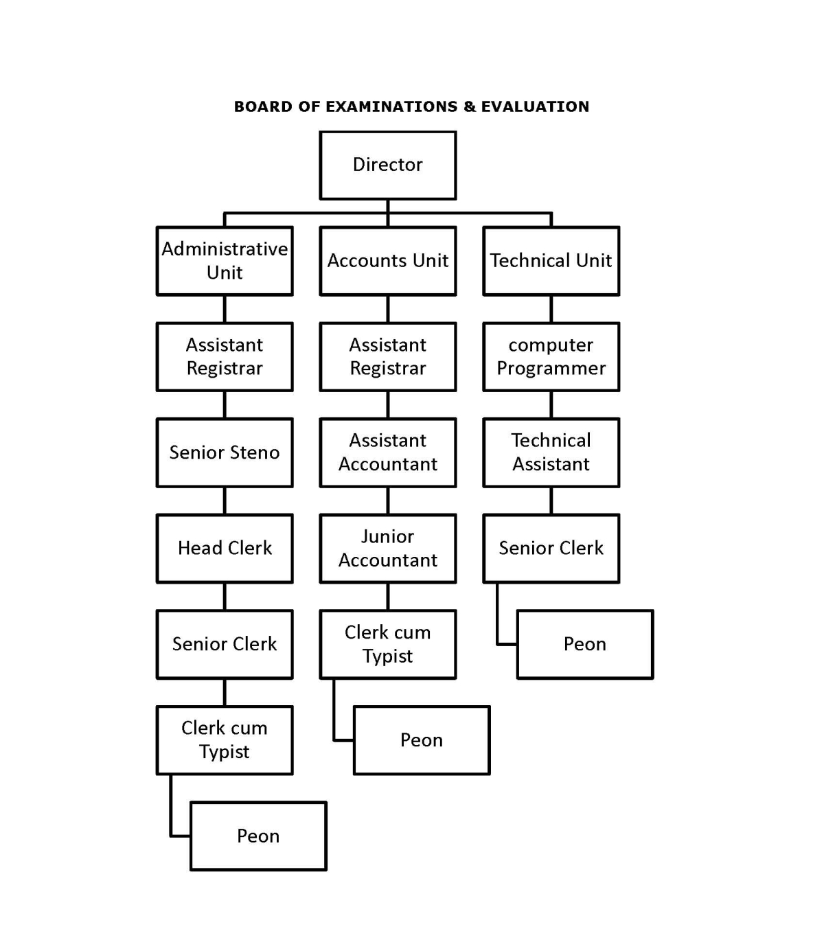 Organizational Structure